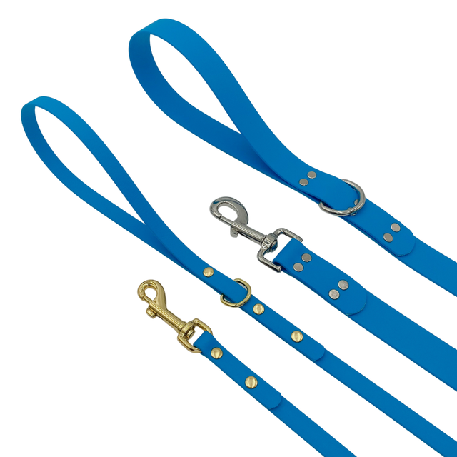 Blueberry collars and leashes sales